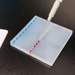 Micropipetting 101  product image