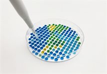 Micropipetting at home - Microliter Madness  product image