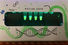 P51™ qPCR Lab- Principles of Quantitative PCR product image