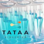 Human Single Assays product image