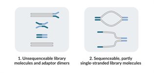 TATAA NGS Library Quantification Kit product image
