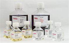 Ames - Liquid E.coli Strains product image