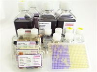 Ames MPF 98/100 Test Kits -with semi-solid strains product image