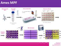 Ames MPF E.coli pKM Test Kits - semi-solid product image