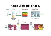 Ames MPF Penta 2  kits  product image