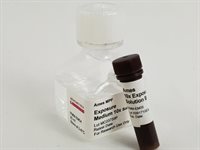 Exposure Medium (10 fold  concentrated) product image