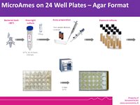 MicroAmes24 - 98/100 product image