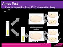 Tetracycline for Ames Test  product image