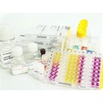 XenoScreen YES/YAS and YES/YAS XL Assay kit product image