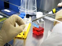 XTT Cytotoxicity Test, Cell Viability Test product image